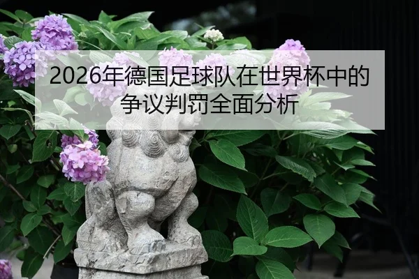 2026年德国足球队在世界杯中的争议判罚全面分析
