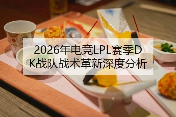 2026年电竞LPL赛季DK战队战术革新深度分析