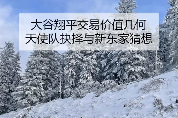 da-gu-xiang-ping-jiao-yi-jia-zhi-ji-he-tian-shi-dui-jue-ze-yu-xin-dong-jia-cai-xiang-2-341.jpg