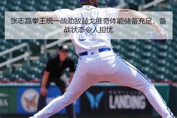 张志磊拳王统一战劲敌赫戈维奇体能储备充足，备战状态令人担忧