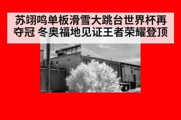 苏翊鸣单板滑雪大跳台世界杯再夺冠 冬奥福地见证王者荣耀登顶